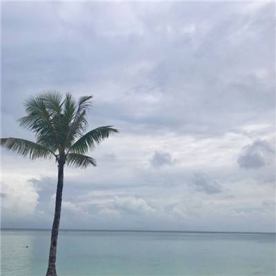 奇迹最强者vivo客户端下载
